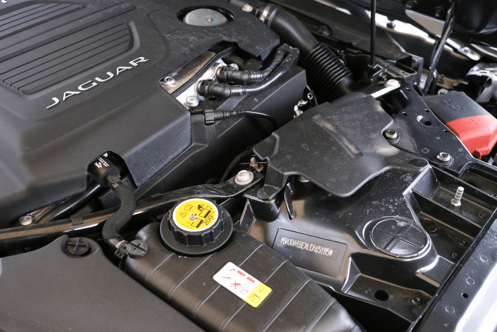 jaguar repair in rockville, md, european auto repair at MB Automotive Services. Close-up of a Jaguar engine bay.